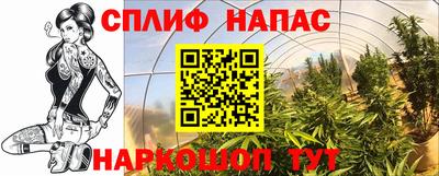 ГАЛЛЮЦИНОГЕННЫЕ ГРИБЫ Можга