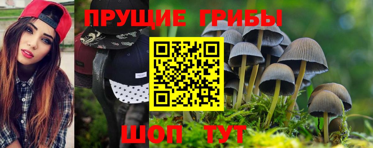 Ессентуки  Галлюциногенные грибы прущие грибы  Вход с VPN  купить наркотик  Галлюциногенные грибы MAGIC MUSHROOMS 