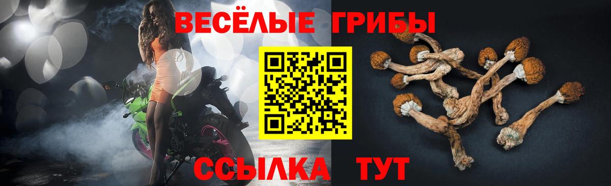 Псилоцибиновые грибы прущие грибы Ессентуки